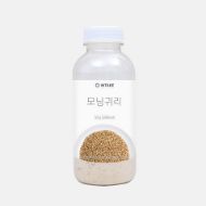 圖片 Intake 早餐搖搖飲燕麥 1枝